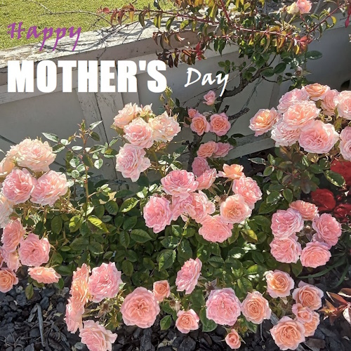 church and verse for Mothering Sunday